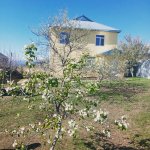 Kirayə (günlük) 3 otaqlı Həyət evi/villa İsmayıllı 2