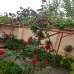 Satılır 4 otaqlı Bağ evi, Pirşağı qəs., Sabunçu rayonu 6