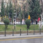 Kirayə (aylıq) 3 otaqlı Köhnə Tikili, Gənclik metrosu, Nəsimi rayonu 21