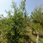 Satılır 3 otaqlı Həyət evi/villa, Binə qəs., Xəzər rayonu 4