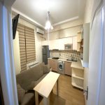 Kirayə (aylıq) 1 otaqlı Yeni Tikili, 28 May metrosu, Nərimanov rayonu 3