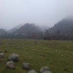 Satılır Torpaq Lənkəran 3
