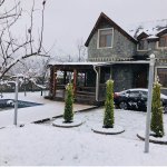 Kirayə (günlük) 5 otaqlı Həyət evi/villa Qəbələ 24