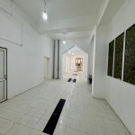 Kirayə (aylıq) Obyekt, Yasamal rayonu 12