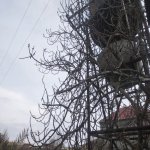 Satılır 6 otaqlı Bağ evi, Mərdəkan, Xəzər rayonu 9