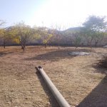 Продажа 5 комнатная Дома/Виллы Бярдя 11