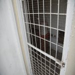 Satılır 4 otaqlı Bağ evi, Bilgəh qəs., Sabunçu rayonu 10