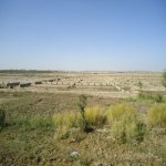 Satılır Torpaq, Məhəmmədli, Abşeron rayonu 18
