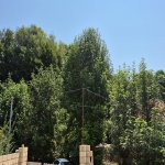 Kirayə (günlük) 4 otaqlı Həyət evi/villa İsmayıllı 12
