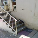 Kirayə (aylıq) 3 otaqlı Həyət evi/villa, Nəsimi metrosu, 6-cı mikrorayon, Binəqədi rayonu 9