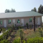 Satılır Obyekt Salyan 7