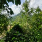 Продажа Участок Гябяля 9