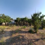 Satılır Torpaq, Maştağa qəs., Sabunçu rayonu 7