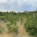 Satılır Torpaq, Maştağa qəs., Sabunçu rayonu 4