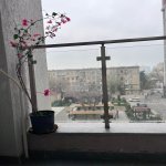 Kirayə (aylıq) 2 otaqlı Yeni Tikili, Nəriman Nərimanov metrosu, Nərimanov rayonu 12