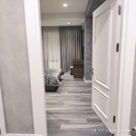 Kirayə (aylıq) 2 otaqlı Yeni Tikili, Nəriman Nərimanov metrosu, Nərimanov rayonu 18