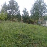 Satılır Torpaq İsmayıllı 16