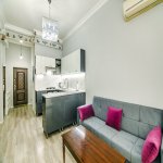 Kirayə (günlük) 3 otaqlı Yeni Tikili, 28 May metrosu, Qış parkı, Nəsimi rayonu 10