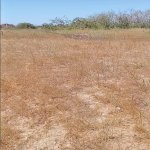 Продажа Участок, пос. Нардаран, Сабунчу район 5