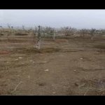 Satılır Torpaq, Digah, Abşeron rayonu 4
