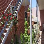 Kirayə (aylıq) 3 otaqlı Bağ evi, Hövsan qəs., Suraxanı rayonu 21