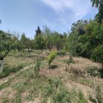 Satılır 6 otaqlı Bağ evi, Novxanı, Abşeron rayonu 41