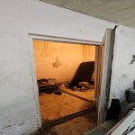 Satılır Qaraj, Xətai rayonu 2