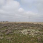 Satılır Torpaq, Hövsan qəs., Suraxanı rayonu 4