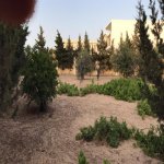 Satılır 3 otaqlı Həyət evi/villa, Bilgəh qəs., Sabunçu rayonu 9