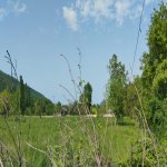 Satılır Torpaq Quba 2