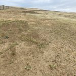 Satılır Torpaq, Novxanı, Abşeron rayonu 8