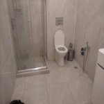 Kirayə (günlük) 3 otaqlı Yeni Tikili, 28 May metrosu, Kubinka, Nəsimi rayonu 14
