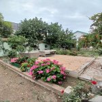 Kirayə (aylıq) 4 otaqlı Bağ evi, Mərdəkan, Xəzər rayonu 10