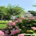 Kirayə (günlük) 3 otaqlı Həyət evi/villa Qax 25
