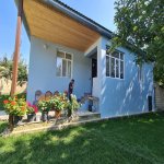 Kirayə (günlük) 3 otaqlı Həyət evi/villa Qəbələ 5