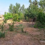 Satılır Torpaq, Ceyranbatan qəs., Abşeron rayonu 4