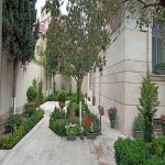 Satılır 7 otaqlı Həyət evi/villa, Gənclik metrosu, Nərimanov rayonu 42