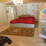 Kirayə (günlük) 5 otaqlı Həyət evi/villa Şəki 3