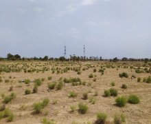 elanlari alqi satqisi elanlari Sabunçu r.