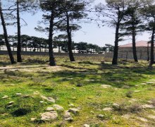 xirdalanda torpaq Xırdalan ş.