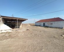 rayonlarda torpaq alqi satqisi Pereküşkül, Abşeron r.