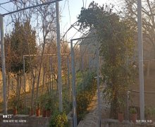 elanlari alqi satqisi elanlari Koroğlu m., Sabunçu qəs., Sabunçu r.