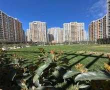 Satılır Yeni Tikili Elmlər akademiyası m., Yasamal r.