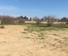 rayonlarda torpaq alqi satqisi Goradil, Abşeron r.