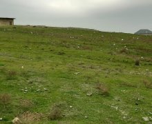 Satılır Torpaq Masazır, Abşeron r.