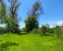 qebelede torpaq alqi satqisi Qəbələ ş.