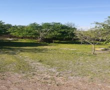 qebelede torpaq alqi satqisi Qəbələ ş.