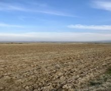 Satılır Torpaq Türkan, Xəzər r.