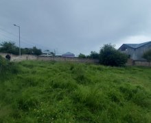 qebelede torpaq alqi satqisi Qəbələ ş.