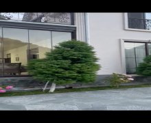 Kirayə (günlük) Həyət evi/villa Qax ş. Kirayə (günlük) Həyət evi/villa Qax ş.